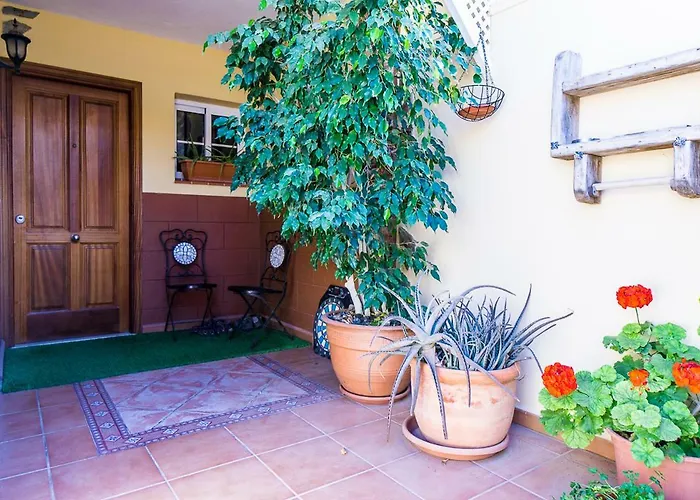 In Проживание в семье *